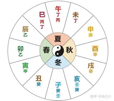 四象代表|四象